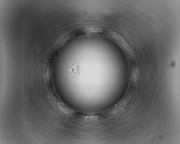 X0000097990426200803241345