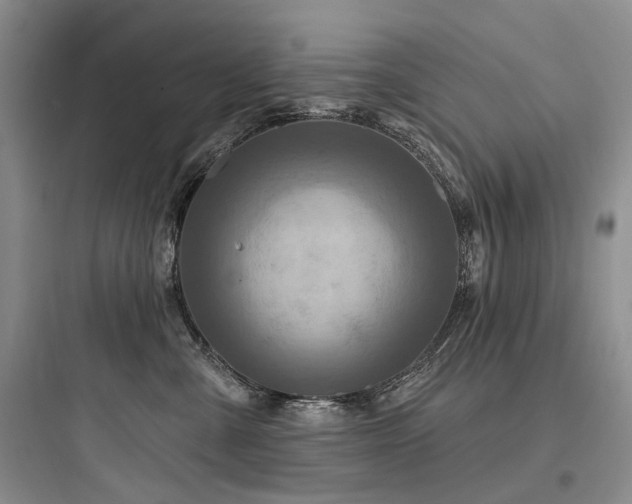X0000097990427200803241345