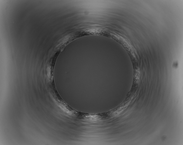 X0000097990428200803241345