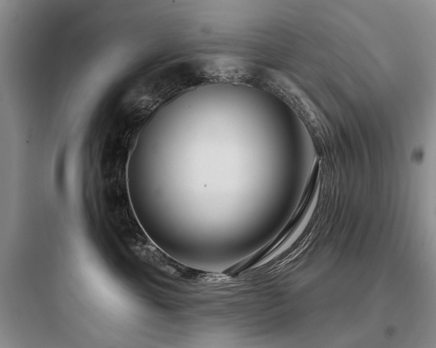 X0000097990429200803241345
