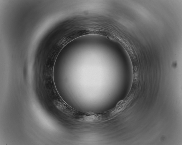X0000097990430200803241345