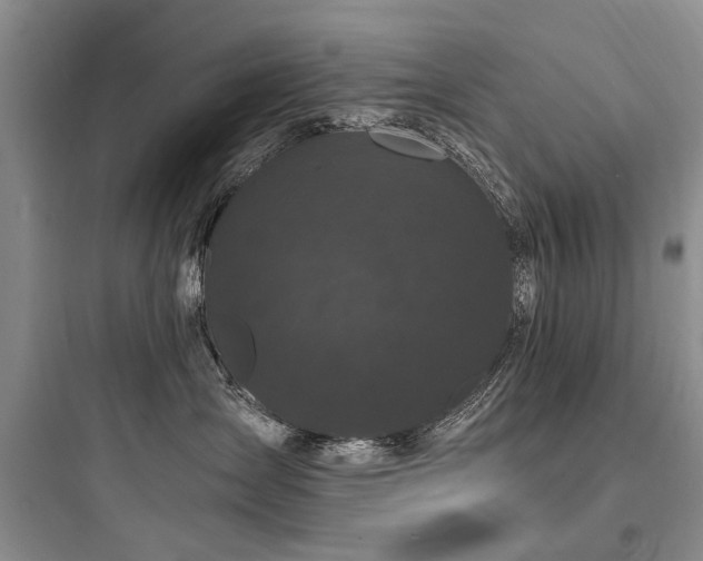 X0000097990431200803241345