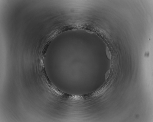 X0000097990432200803241345