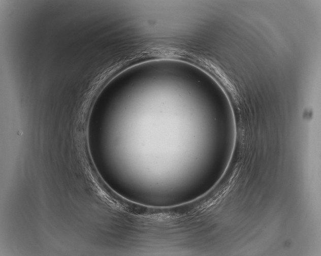 X0000097990433200803241345
