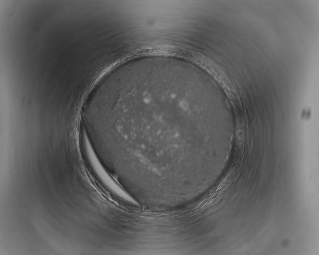 X0000097990434200803241345