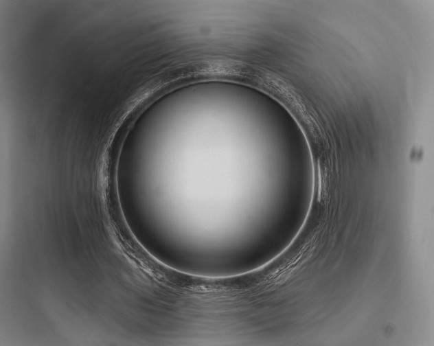 X0000097990435200803241345