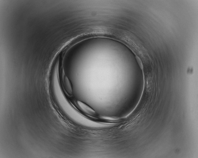 X0000097990436200803241345