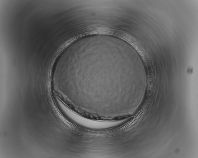 X0000097990437200803241345