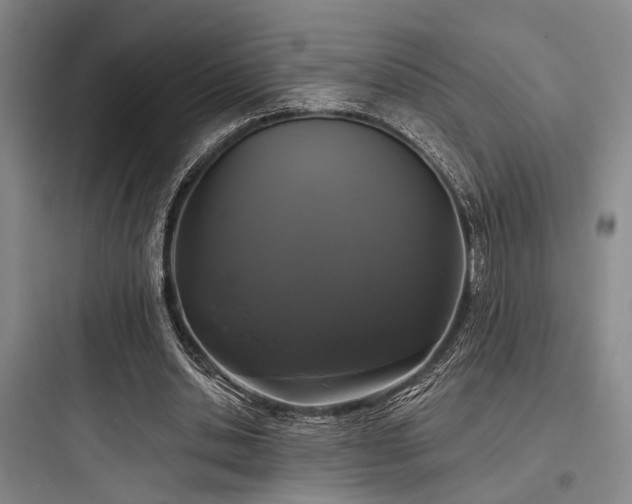 X0000097990438200803241345