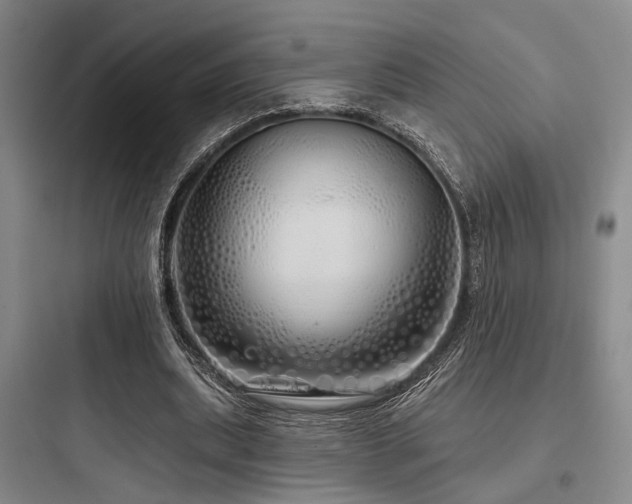 X0000097990439200803241345