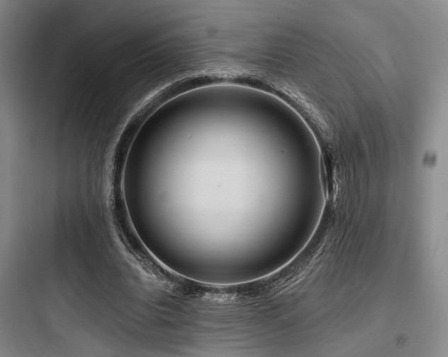 X0000097990440200803241345