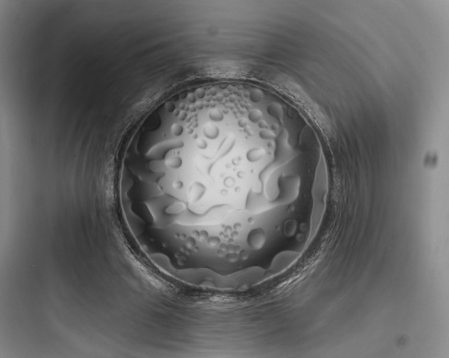 X0000097990441200803241345