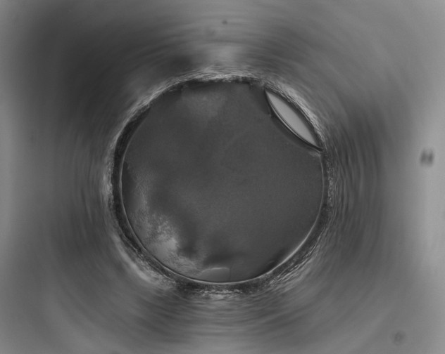 X0000097990443200803241345