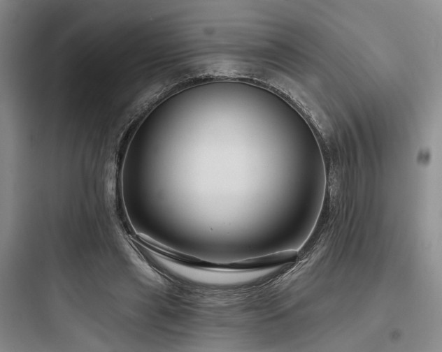 X0000097990445200803241345
