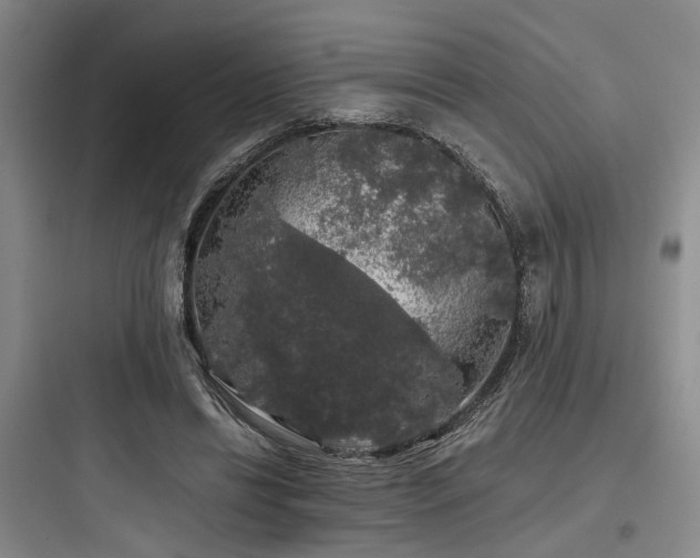 X0000097990446200803241345