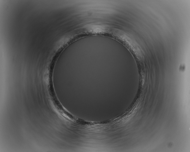 X0000097990447200803241345