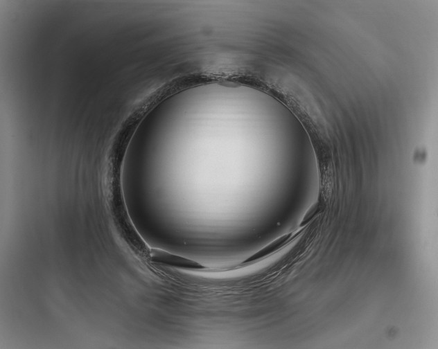 X0000097990448200803241345