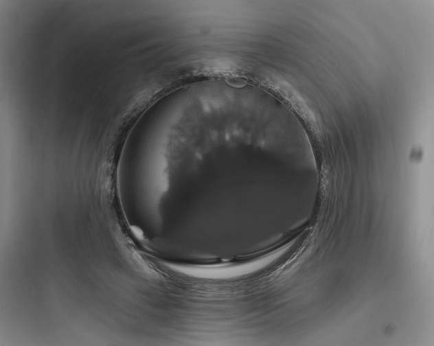 X0000097990449200803241345
