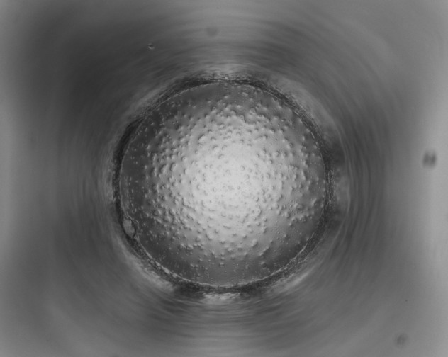 X0000097990450200803241345