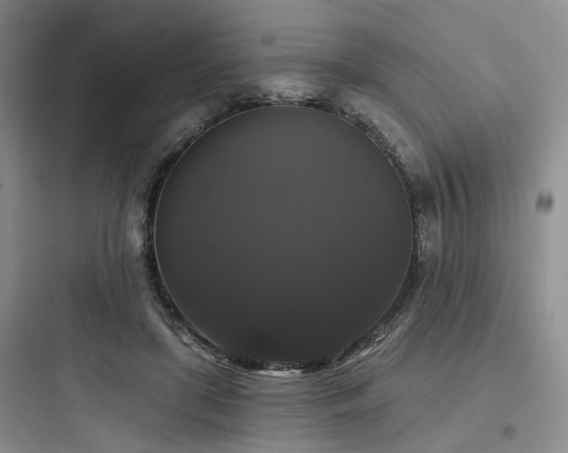 X0000097990451200803241345
