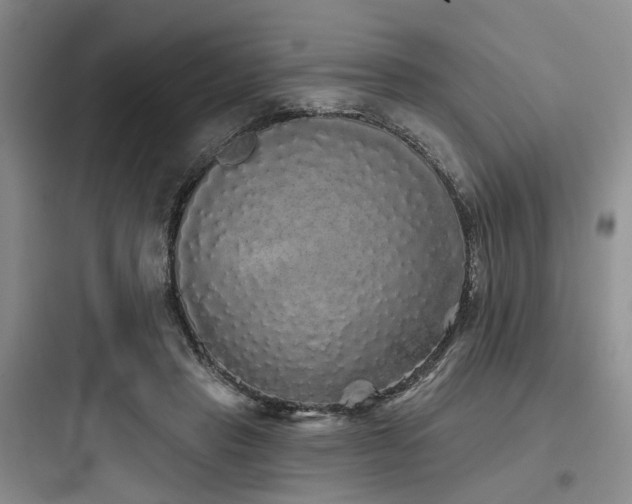 X0000097990453200803241345