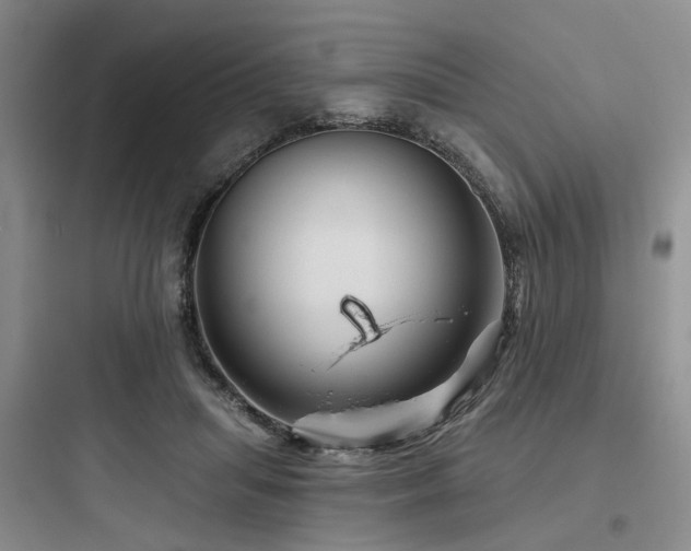 X0000097990455200803241345