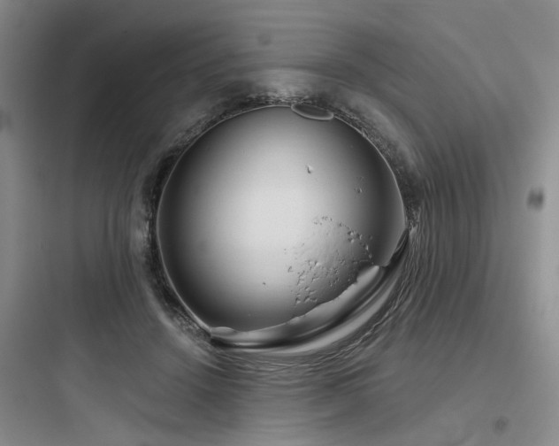 X0000097990456200803241345