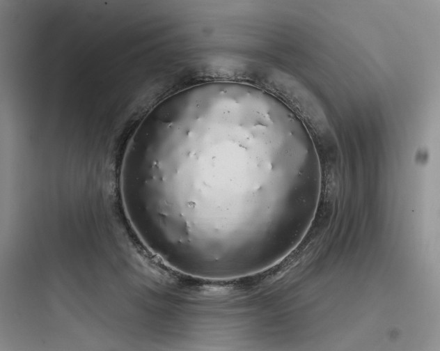 X0000097990457200803241345