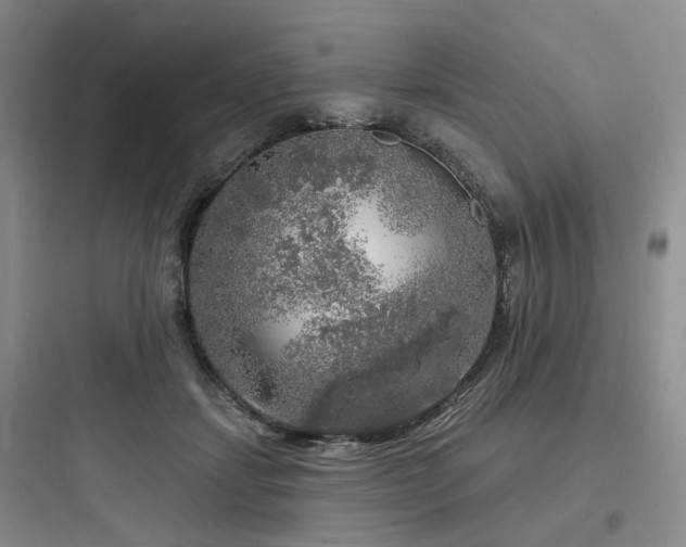 X0000097990459200803241345