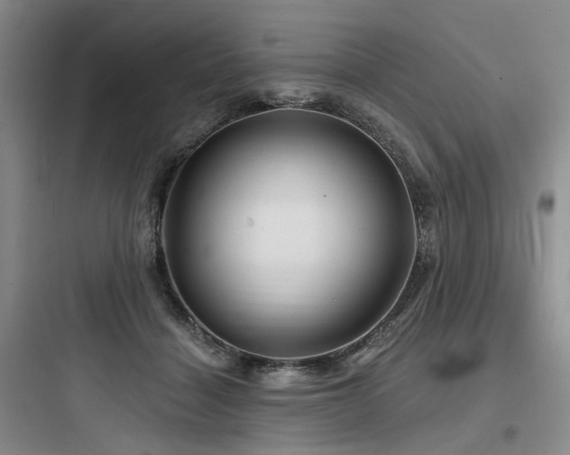 X0000097990460200803241345