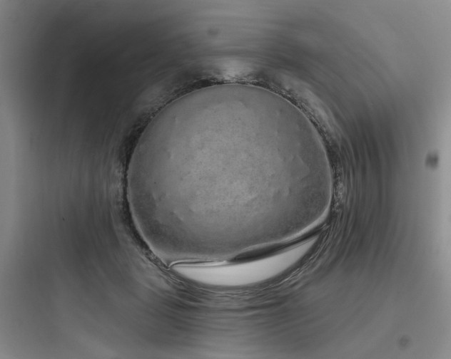 X0000097990461200803241345