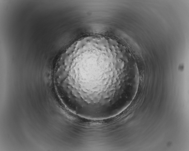 X0000097990462200803241345