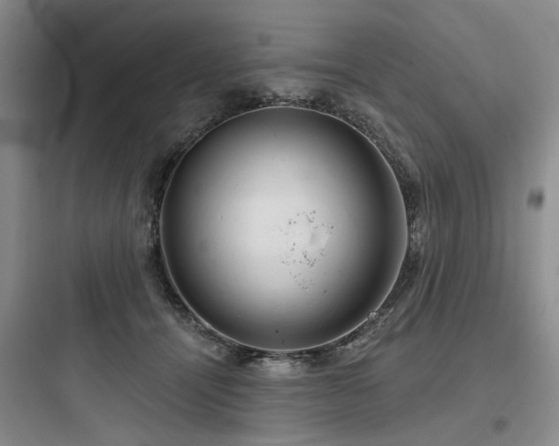 X0000097990464200803241345