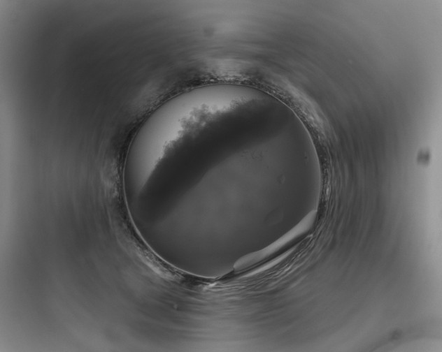 X0000097990465200803241345