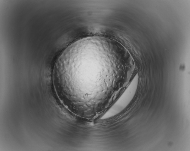 X0000097990466200803241345