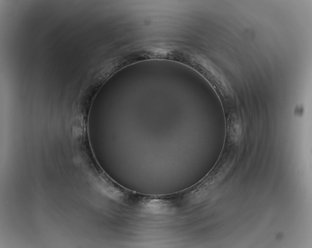 X0000097990467200803241345