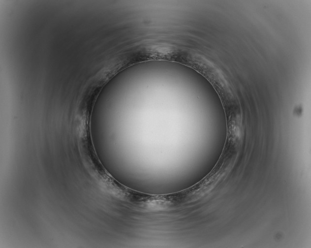 X0000097990468200803241345