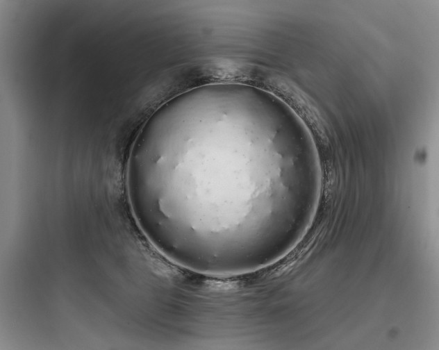 X0000097990469200803241345