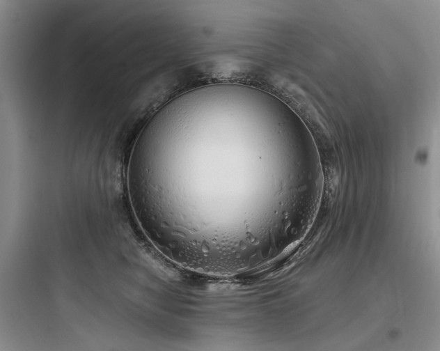 X0000097990470200803241345