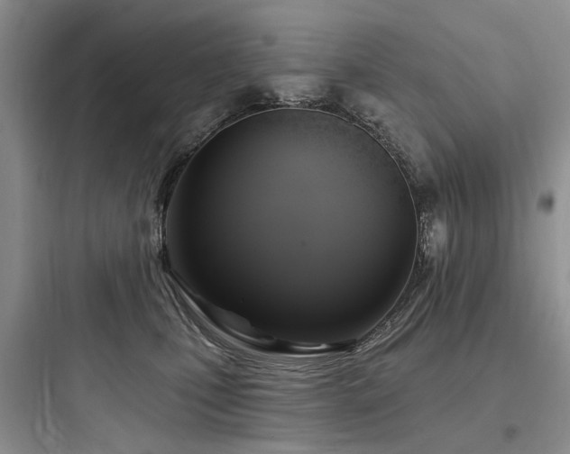 X0000097990471200803241345