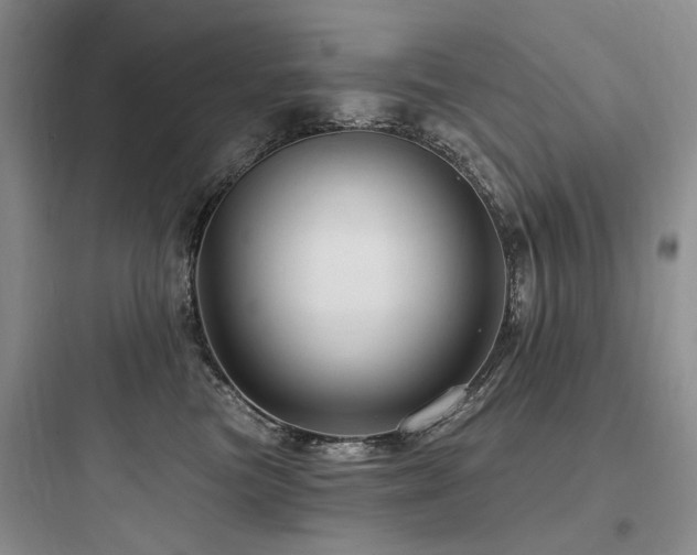 X0000097990473200803241345