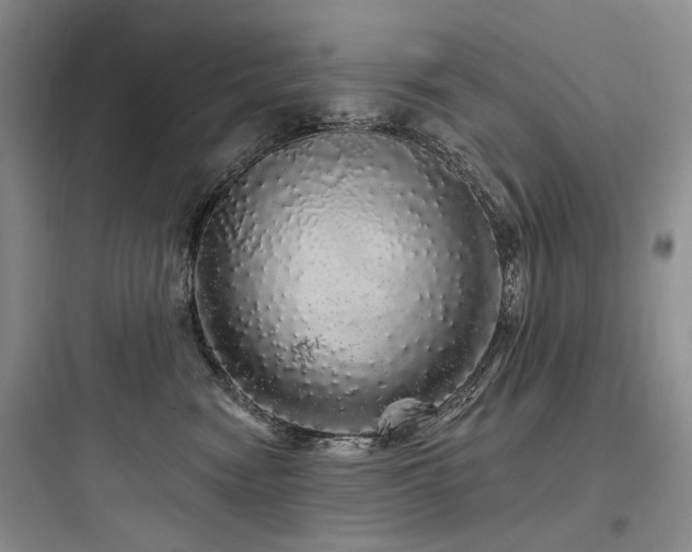 X0000097990474200803241345
