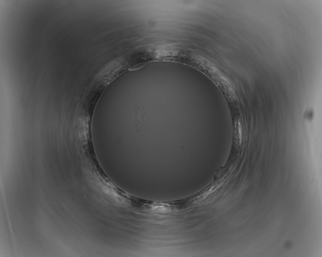 X0000097990475200803241345