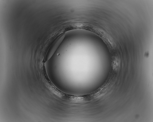 X0000097990476200803241345