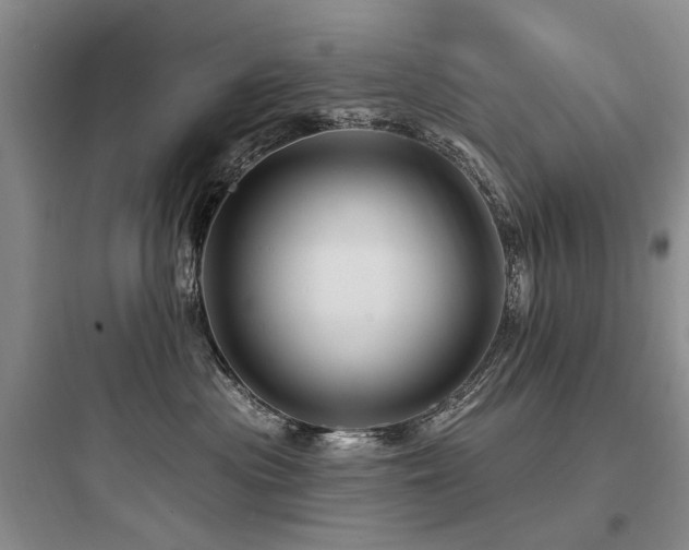 X0000097990477200803241345