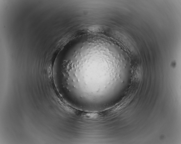 X0000097990478200803241345
