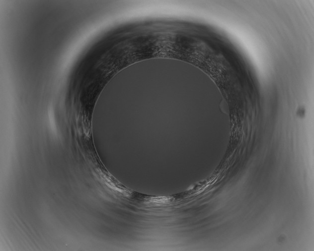 X0000097990479200803241345