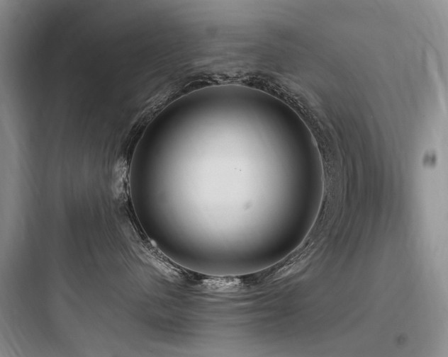 X0000097990480200803241345