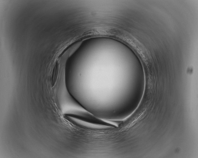 X0000097990481200803241345