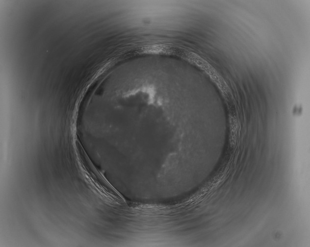 X0000097990482200803241345